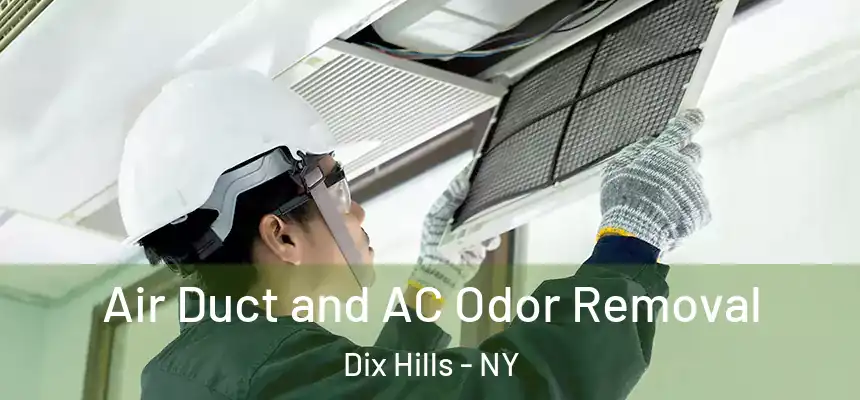 Air Duct and AC Odor Removal Dix Hills - NY
