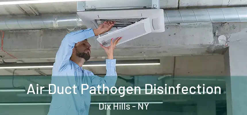 Air Duct Pathogen Disinfection Dix Hills - NY