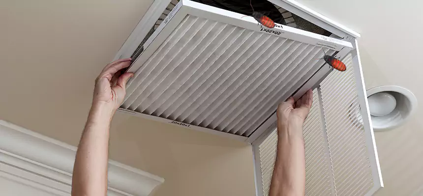 Preventive Cockroach-Proofing for Ducts in Dix Hills