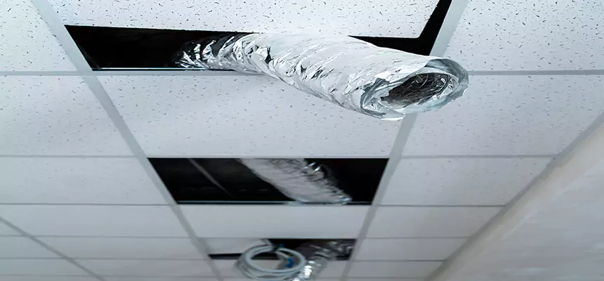 Affordable HVAC Sanitizing After Pest Removal in Dix Hills