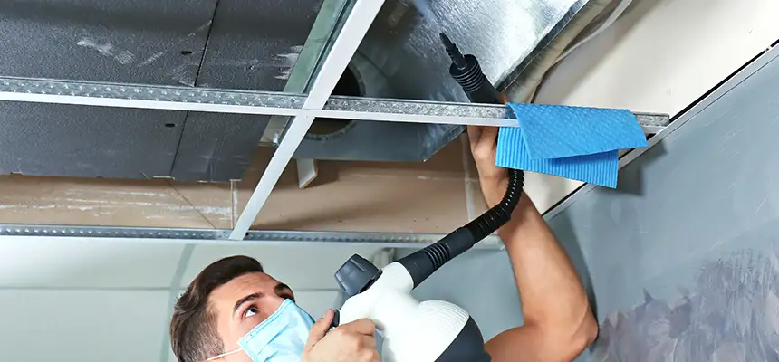 Our Air Duct Rodent Removal Services in Dix Hills, NY