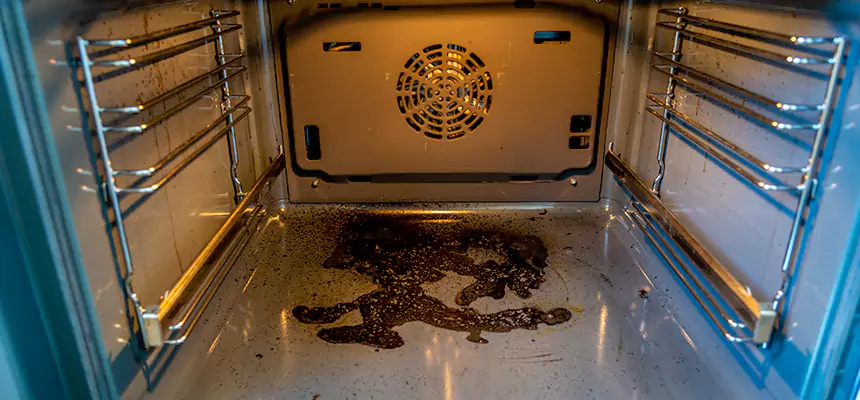 Our Dryer Vent Mold Cleaning Services in Dix Hills, NY