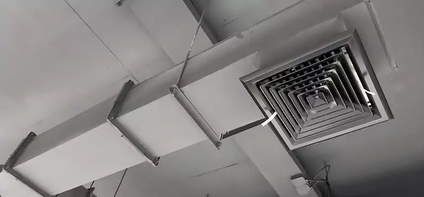 Our Rodent Droppings In Vents Services in Dix Hills, NY