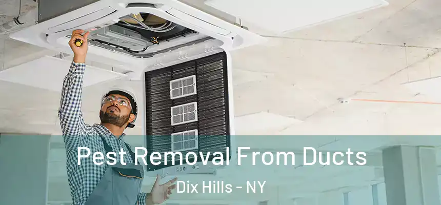 Pest Removal From Ducts Dix Hills - NY