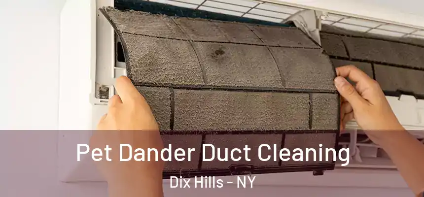 Pet Dander Duct Cleaning Dix Hills - NY