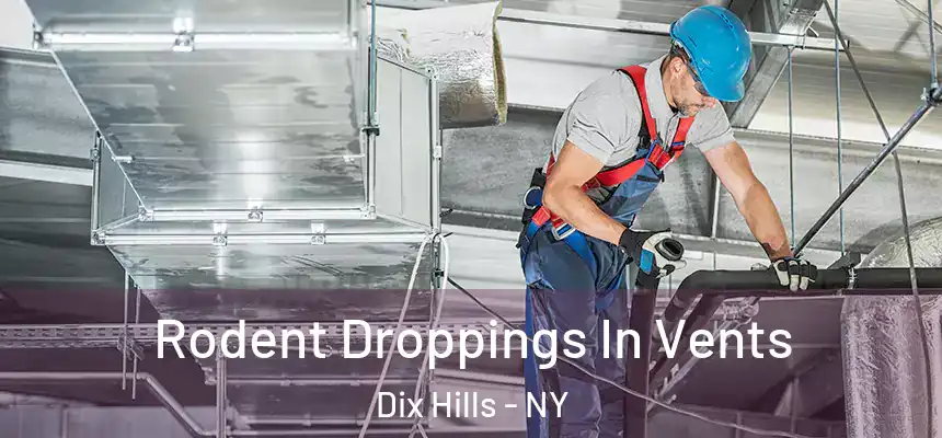  Rodent Droppings In Vents Dix Hills - NY
