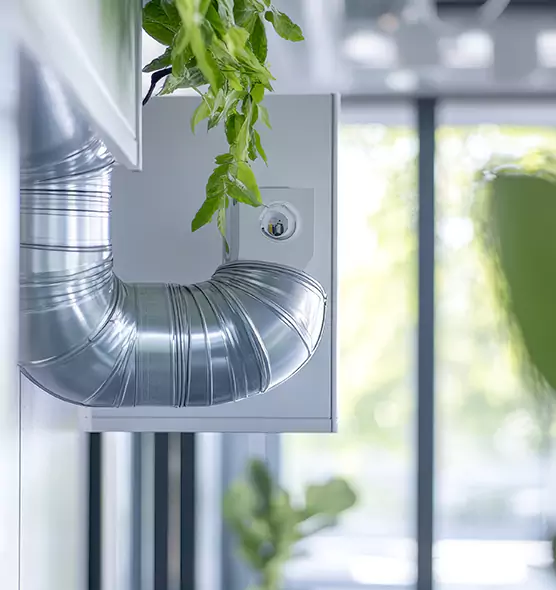 Professional Eco-Safe Dryer Vent Cleaning in Dix Hills, NY