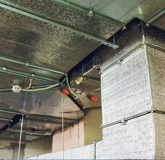 Why Homeowners & Businesses Trust Us in Dix Hills, NY?