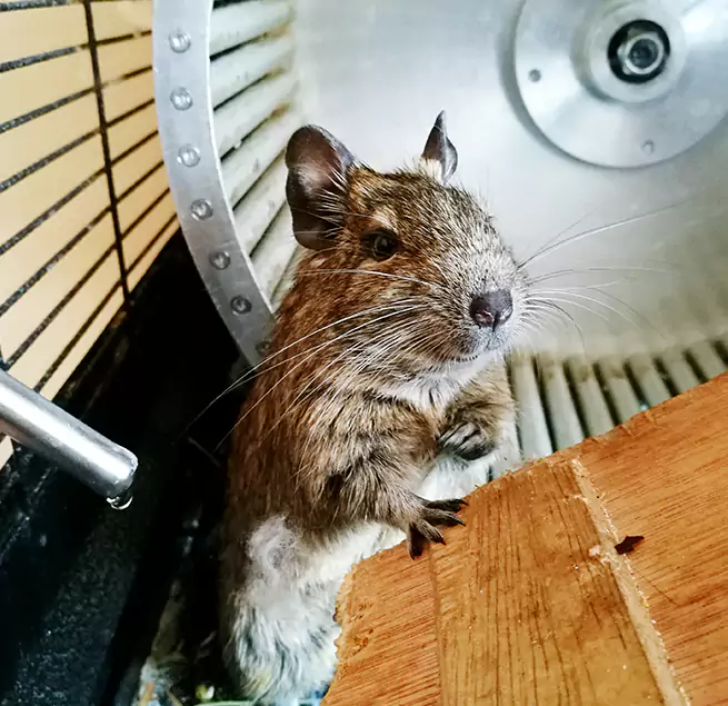 Why Homeowners & Businesses Trust Us Dix Hills, NY?